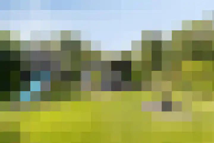 Noorderlaan 24 Nieuwolda thumbnail 54