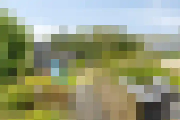 Noorderlaan 24 Nieuwolda thumbnail 55