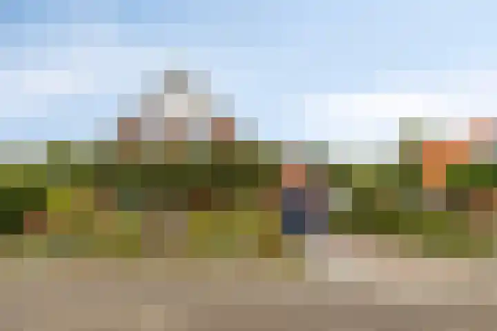 Noorderlaan 24 Nieuwolda thumbnail 6