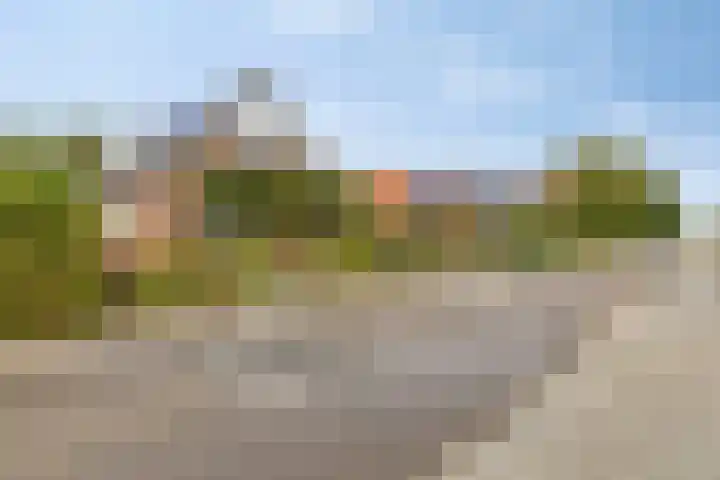 Noorderlaan 24 Nieuwolda thumbnail 7