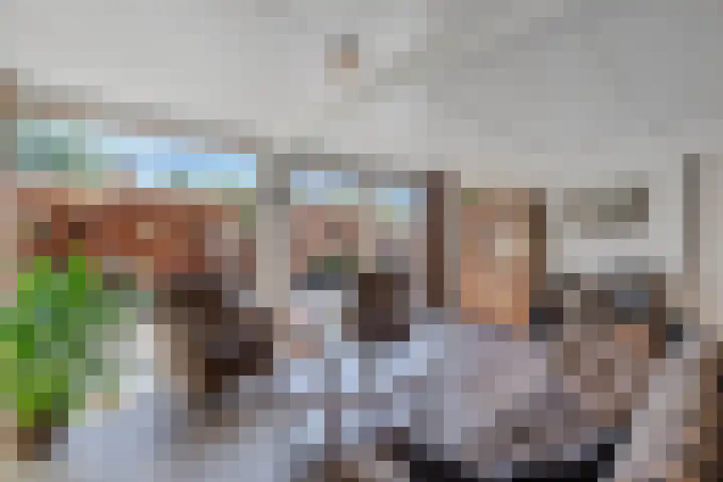 Noorderlaan 25 Nagele thumbnail 21