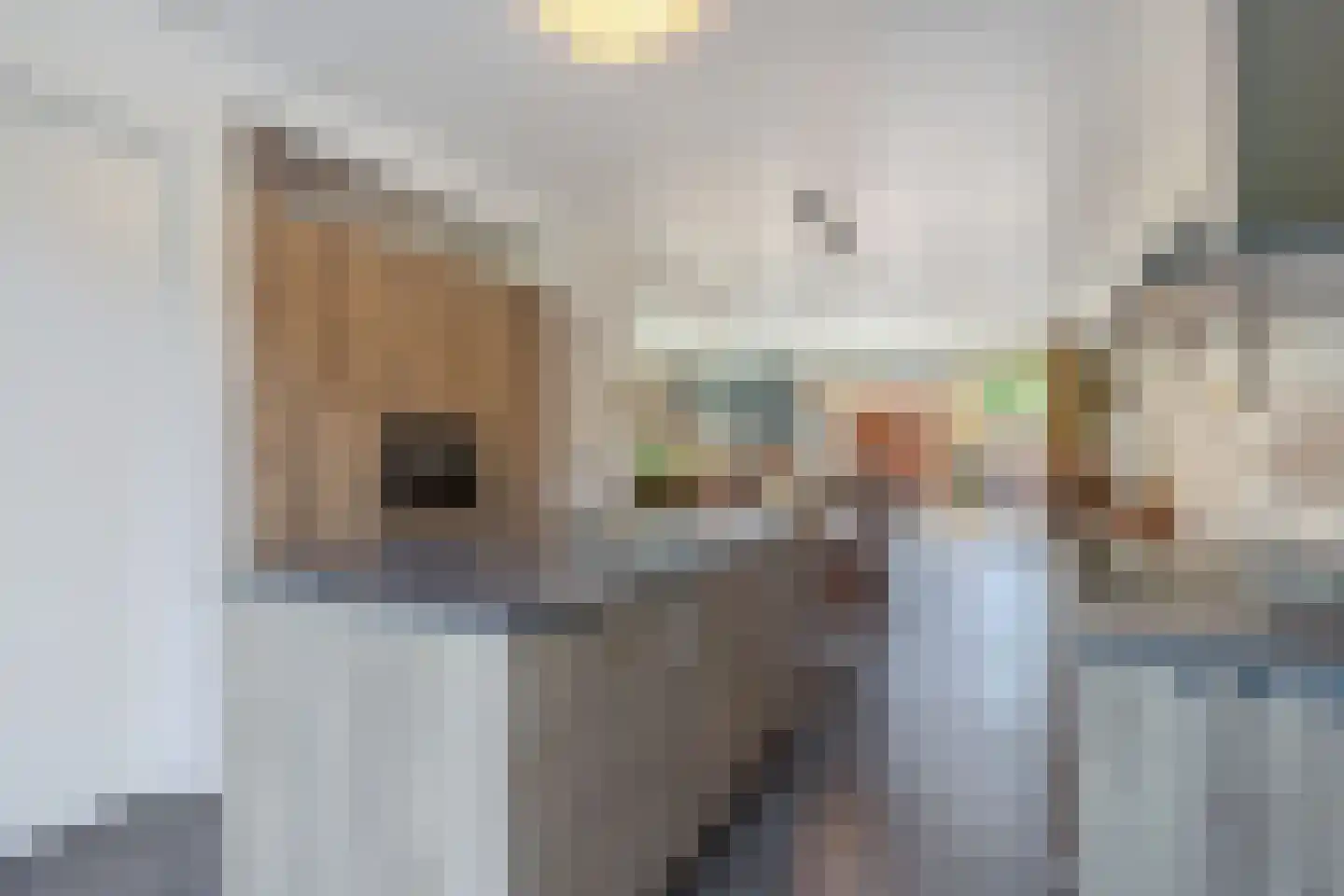 Noorderlaan 25 Nagele thumbnail 26