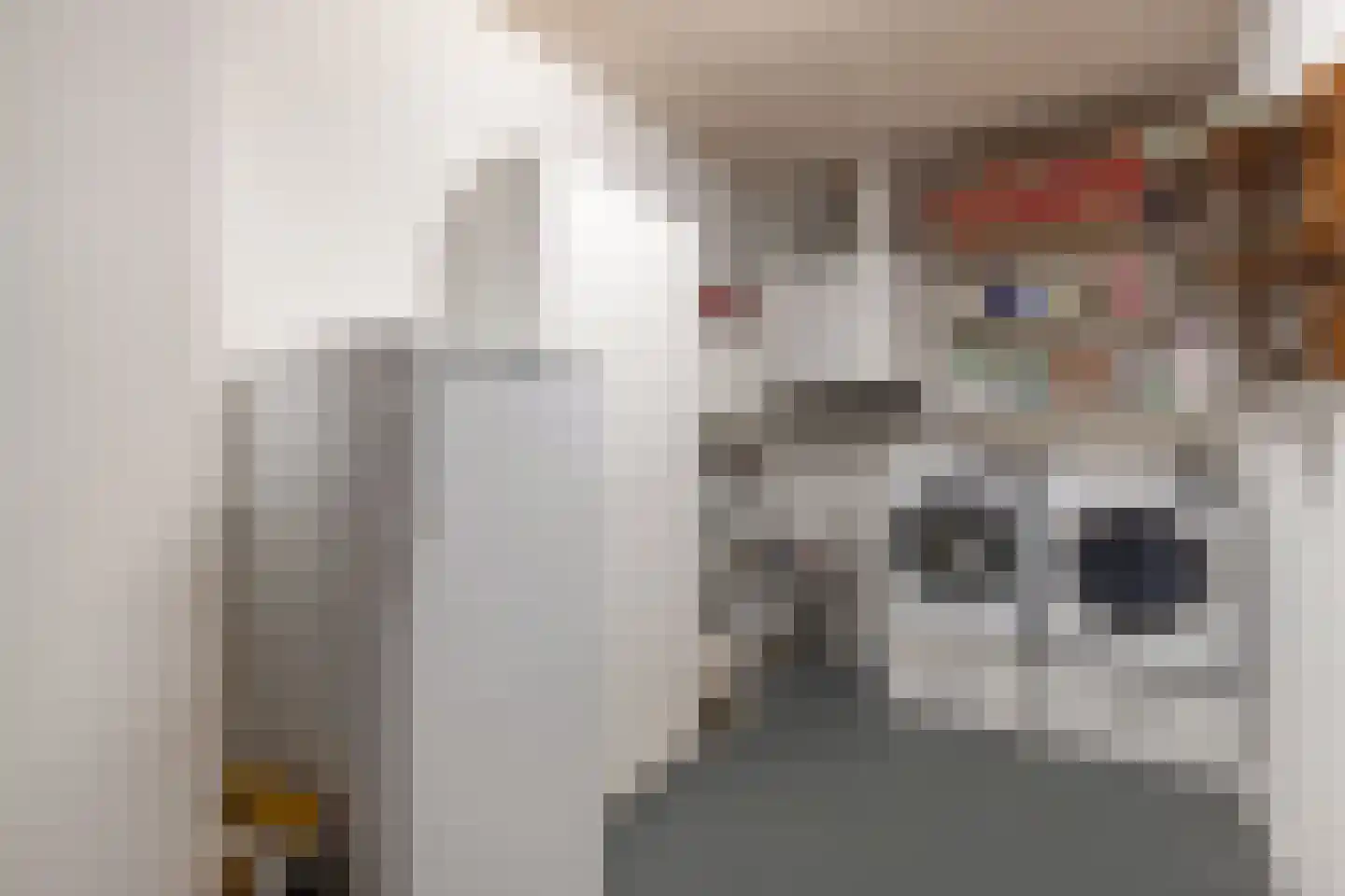 Noorderlaan 25 Nagele thumbnail 28