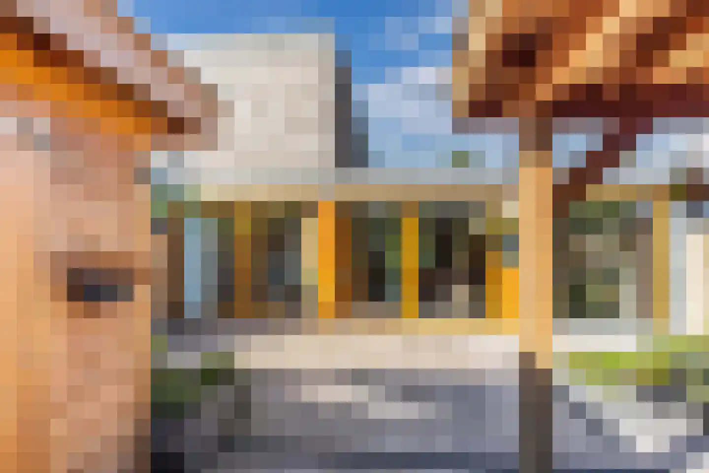 Noorderlaan 25 Nagele thumbnail 43