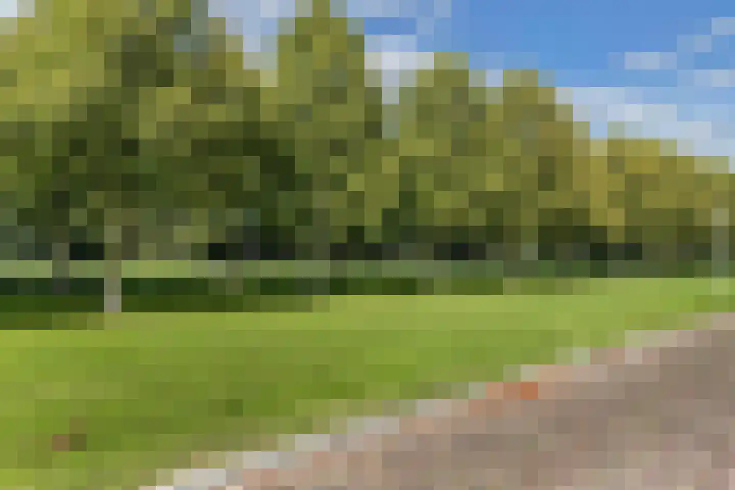 Noorderlaan 25 Nagele thumbnail 47