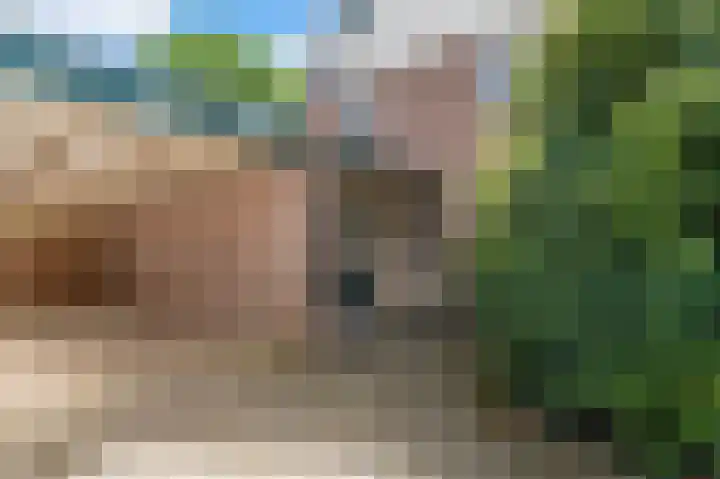 Noorderlaan 27 A Nieuwolda thumbnail 10