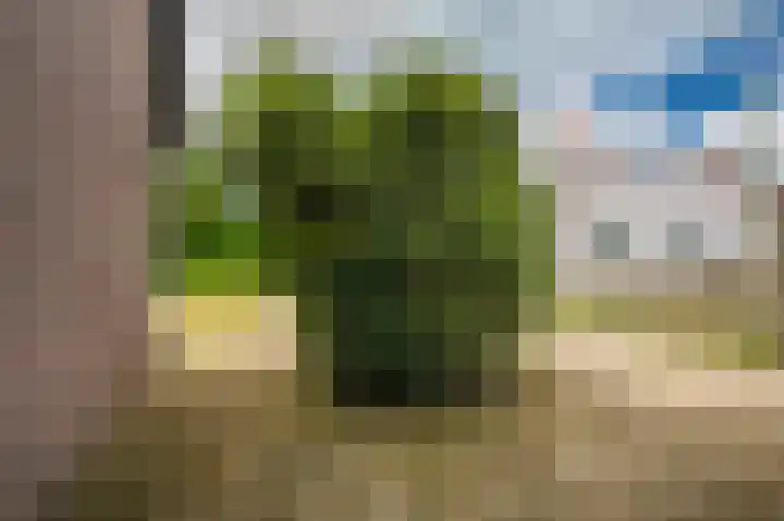 Noorderlaan 27 A Nieuwolda thumbnail 11