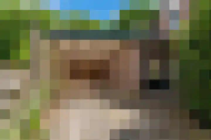 Noorderlaan 27 A Nieuwolda thumbnail 12