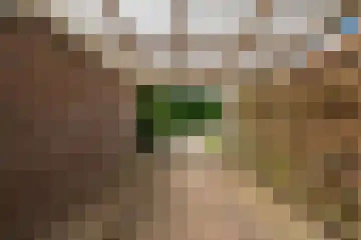 Noorderlaan 27 A Nieuwolda thumbnail 13