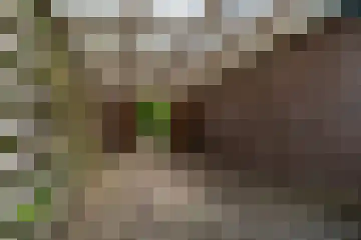 Noorderlaan 27 A Nieuwolda thumbnail 14