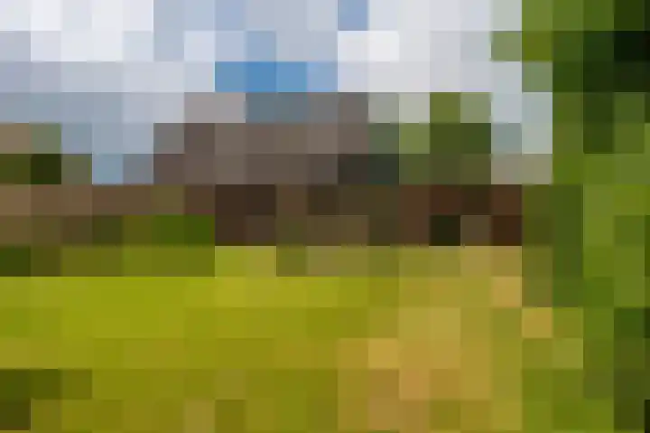 Noorderlaan 27 A Nieuwolda thumbnail 15