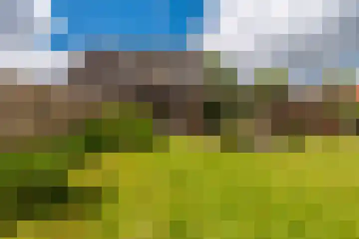 Noorderlaan 27 A Nieuwolda thumbnail 16
