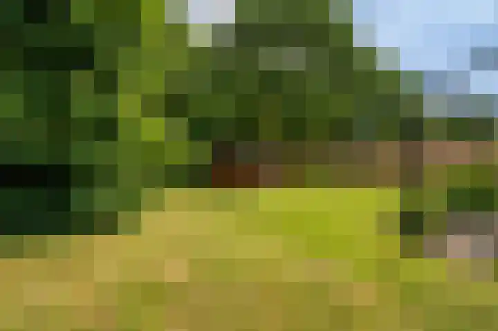 Noorderlaan 27 A Nieuwolda thumbnail 18