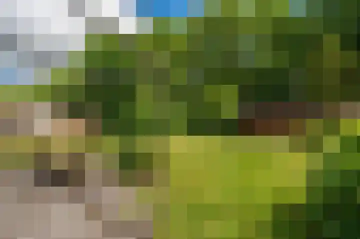 Noorderlaan 27 A Nieuwolda thumbnail 19