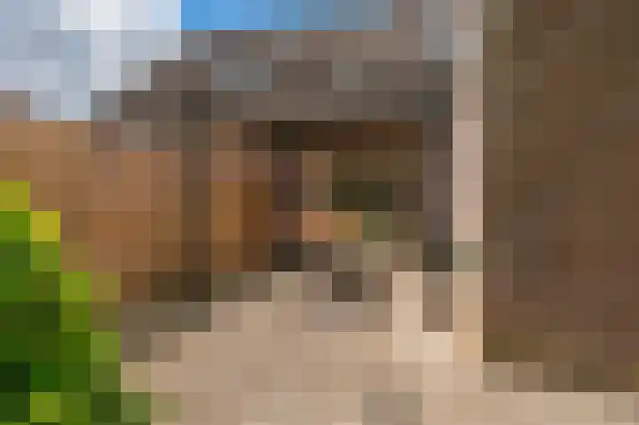 Noorderlaan 27 A Nieuwolda thumbnail 20