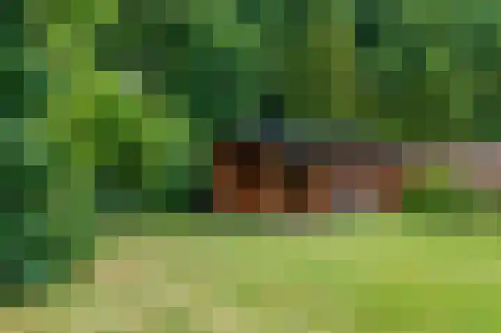 Noorderlaan 27 A Nieuwolda thumbnail 21