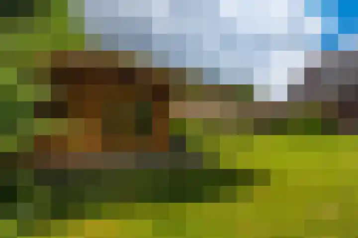 Noorderlaan 27 A Nieuwolda thumbnail 22