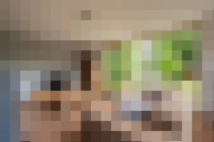 Noorderlaan 27 A Nieuwolda thumbnail 29