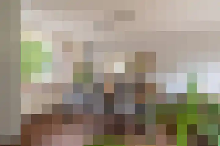 Noorderlaan 27 A Nieuwolda thumbnail 36