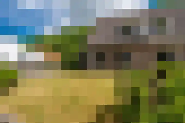 Noorderlaan 27 A Nieuwolda thumbnail 9