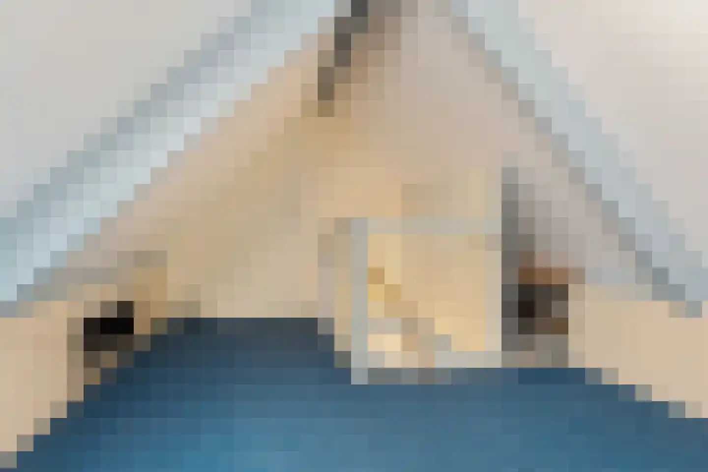 Noorderlaan 27 B Nieuwolda thumbnail 34