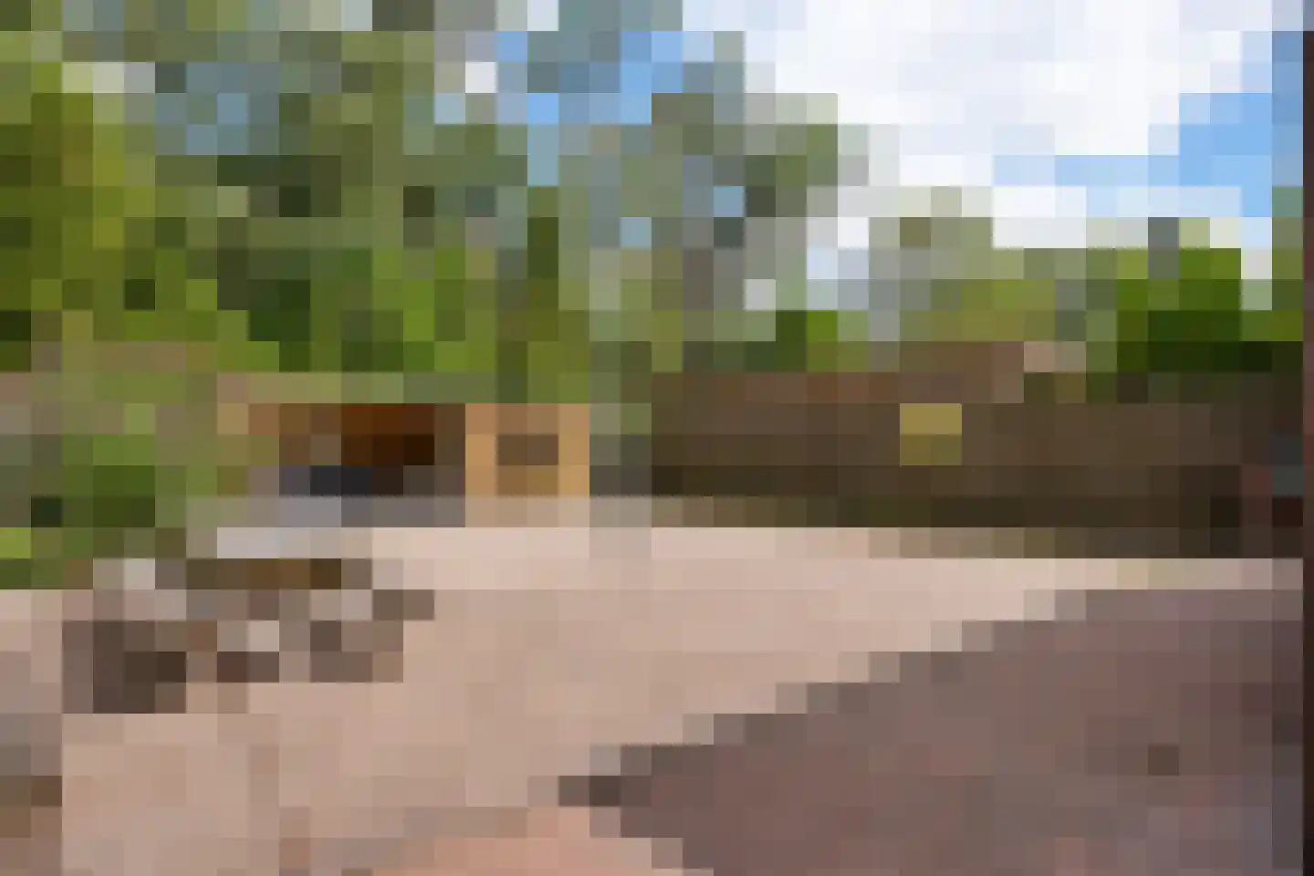 Noorderlaan 27 B Nieuwolda thumbnail 35