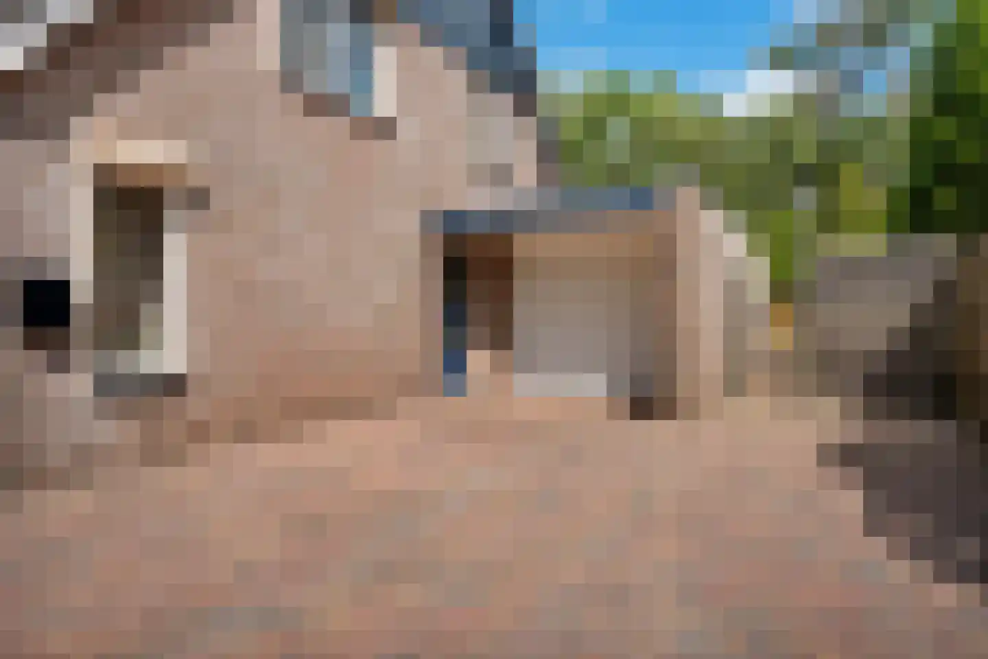 Noorderlaan 27 B Nieuwolda thumbnail 37