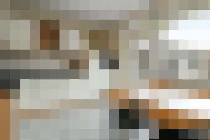 Noorderlaan 34 Weert thumbnail 13