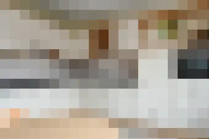 Noorderlaan 34 Weert thumbnail 14
