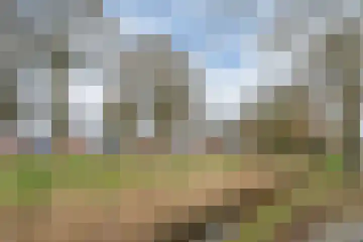 Noorderlaan 34 Weert thumbnail 30