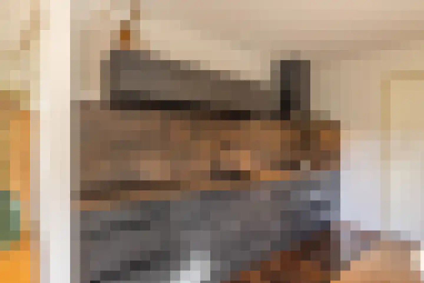 Noorderlaan 5 Hillegom thumbnail 15
