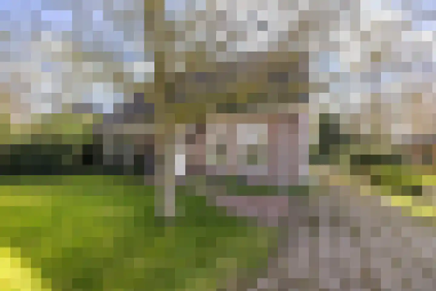 Noorderlaan 5 Hillegom thumbnail 31