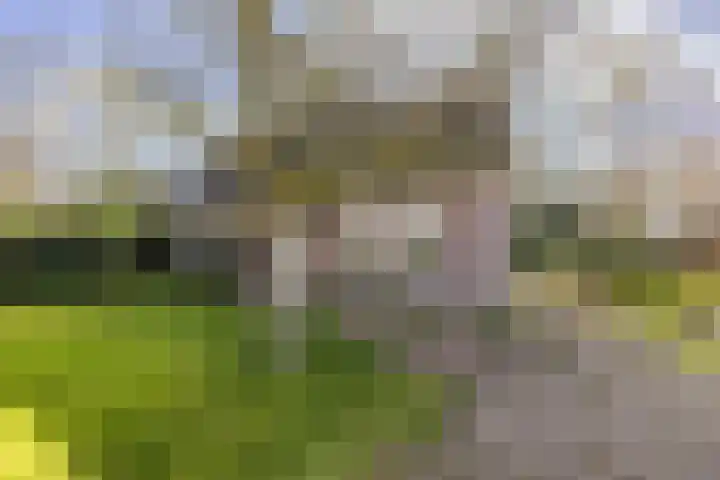 Noorderlaan 5 Hillegom thumbnail 31