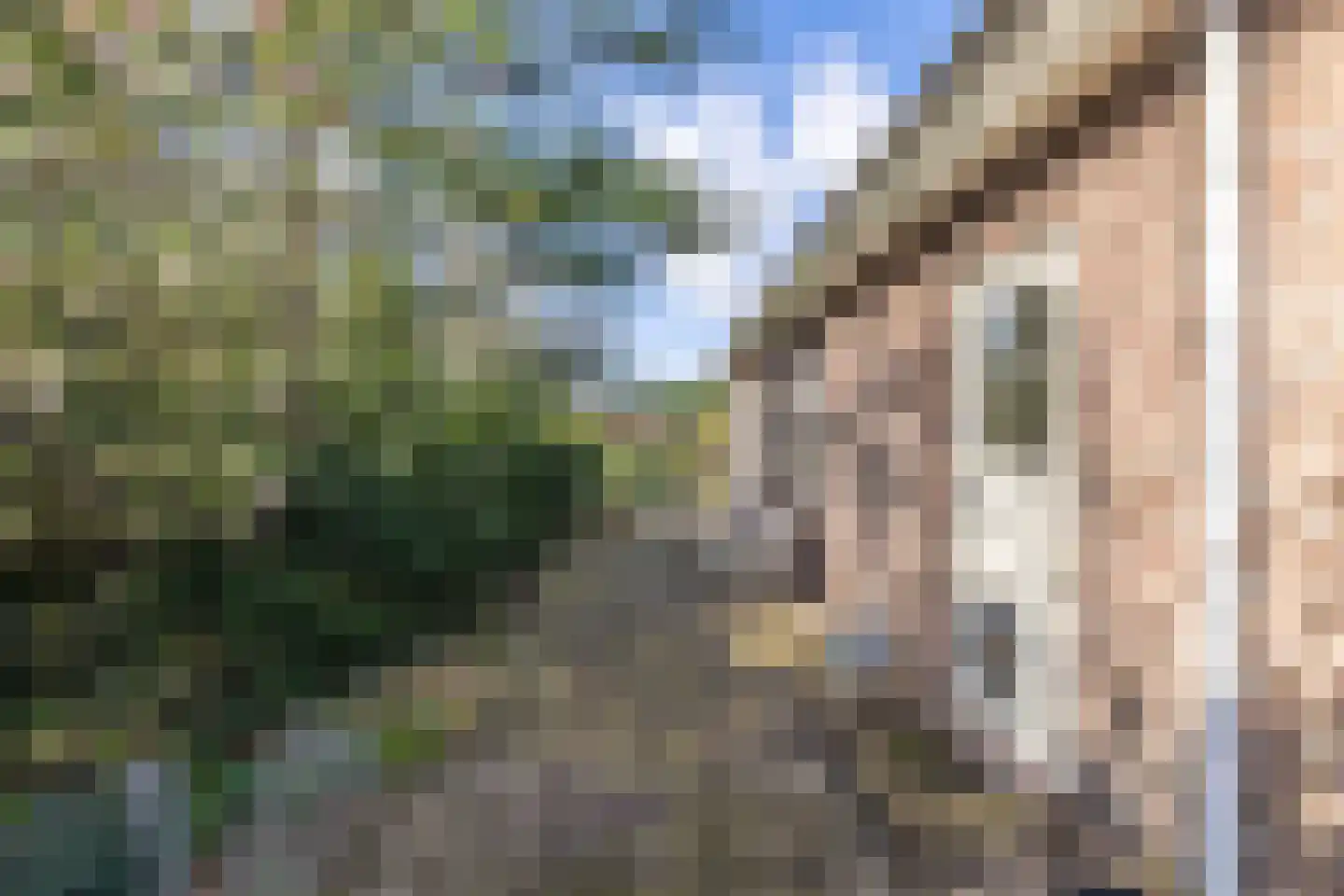 Noorderlaan 5 Hillegom thumbnail 32