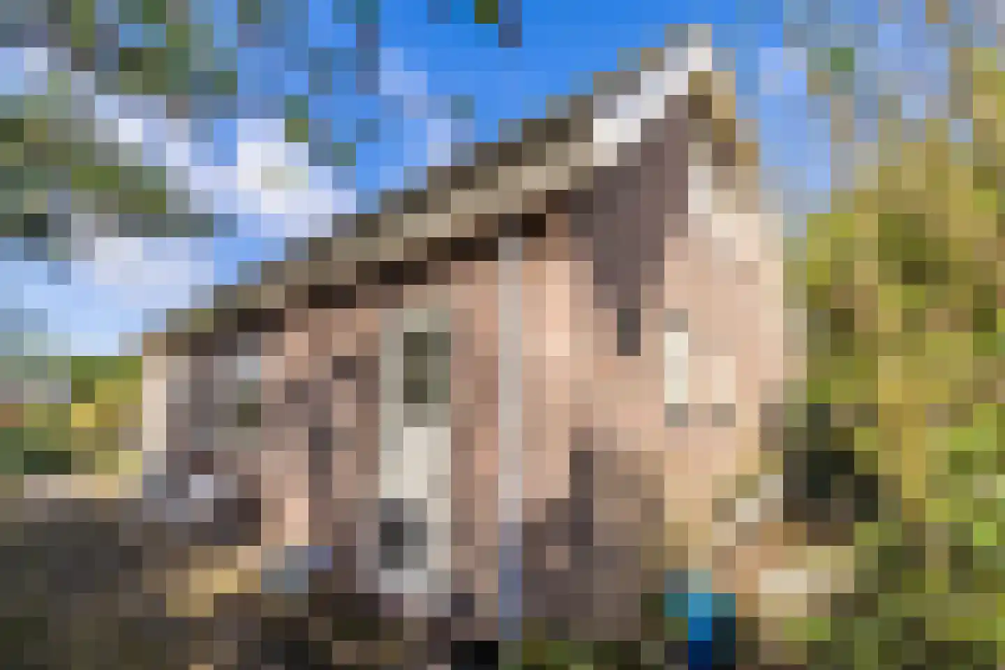 Noorderlaan 5 Hillegom thumbnail 33
