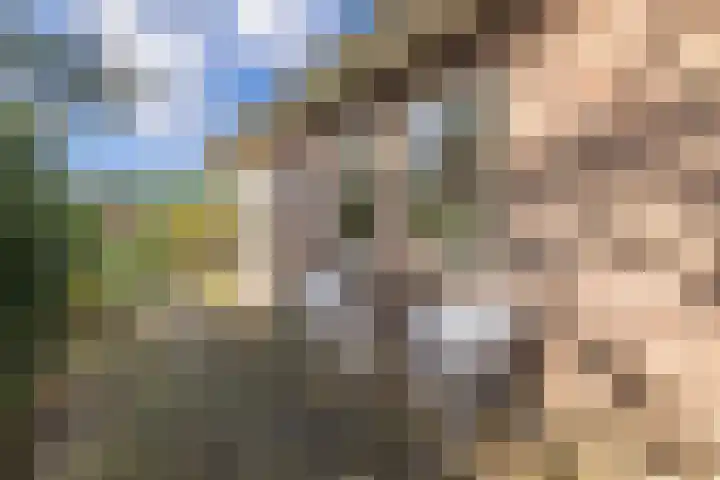 Noorderlaan 5 Hillegom thumbnail 34
