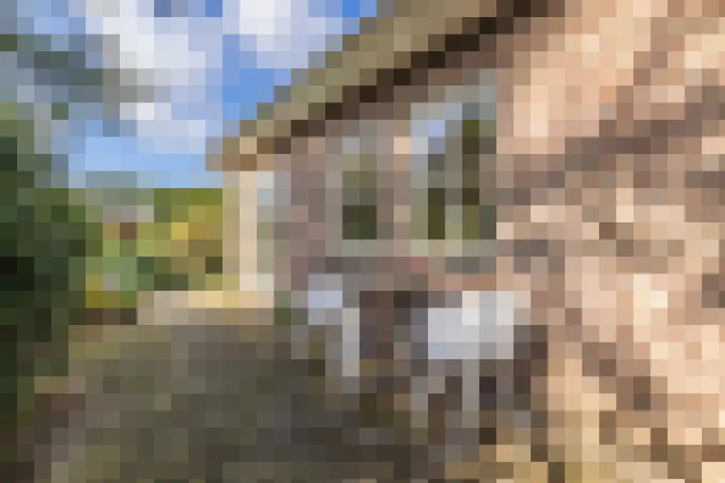 Noorderlaan 5 Hillegom thumbnail 34