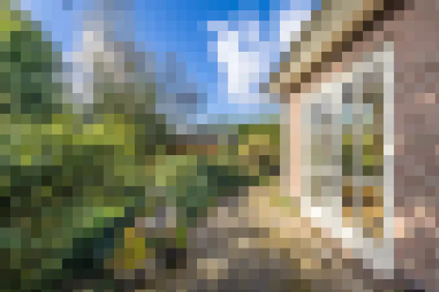 Noorderlaan 5 Hillegom thumbnail 35
