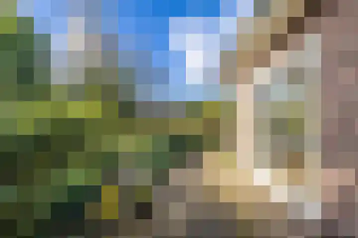 Noorderlaan 5 Hillegom thumbnail 35