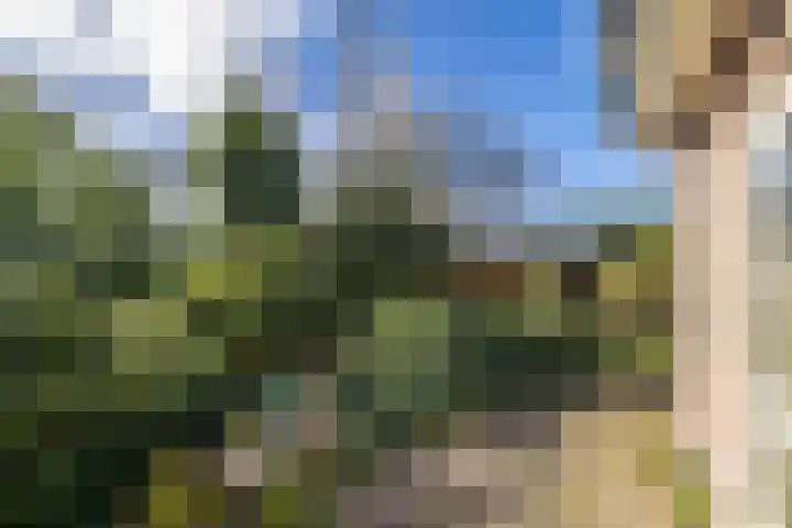 Noorderlaan 5 Hillegom thumbnail 38