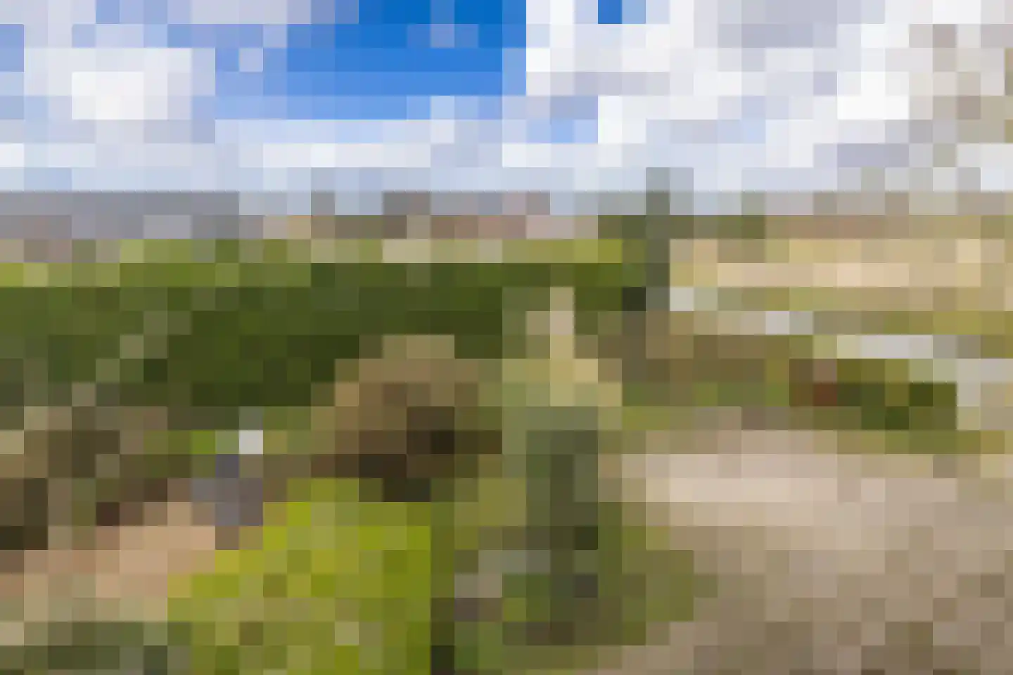 Noorderlaan 5 Hillegom thumbnail 4