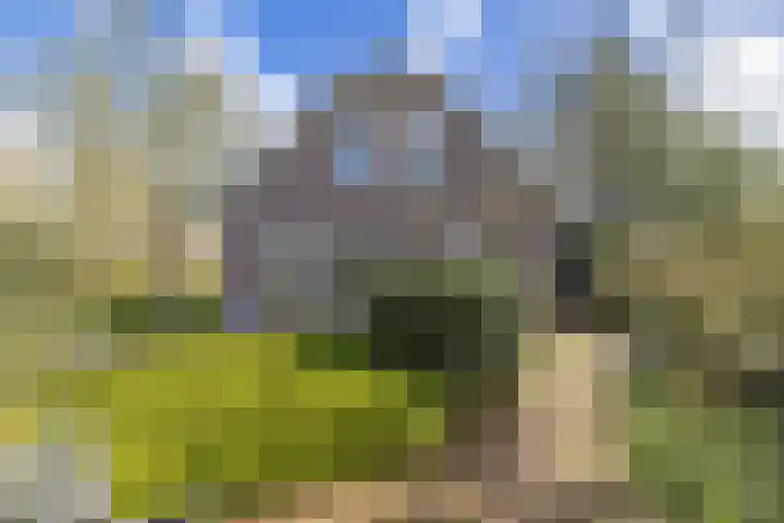 Noorderlaan 5 Hillegom thumbnail 40