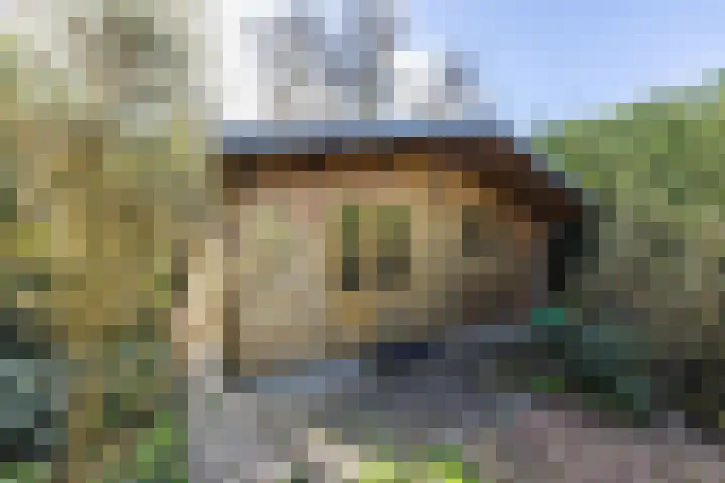 Noorderlaan 5 Hillegom thumbnail 41