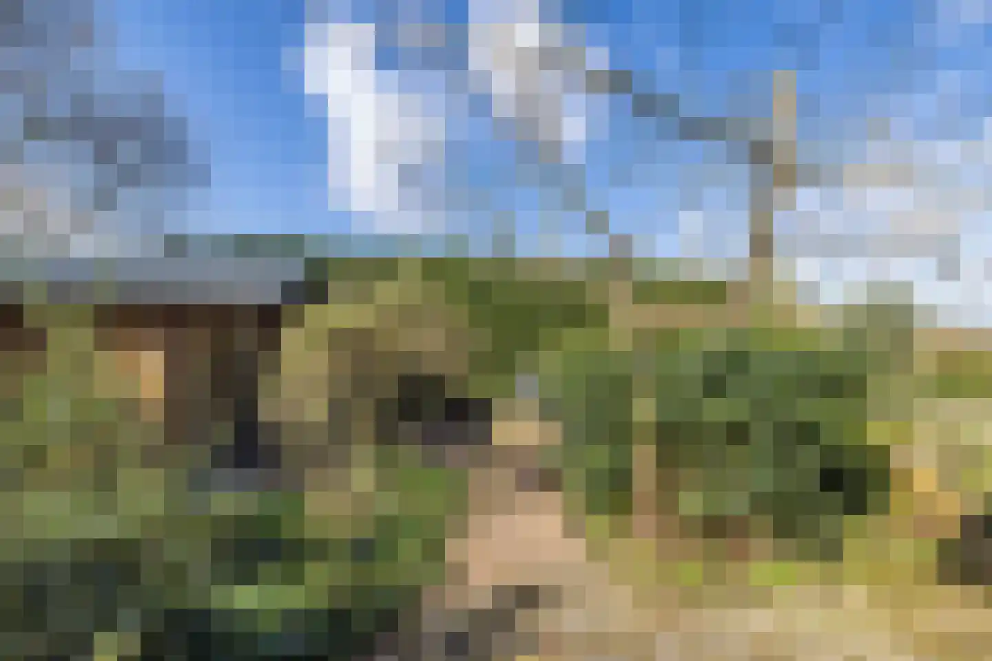 Noorderlaan 5 Hillegom thumbnail 42
