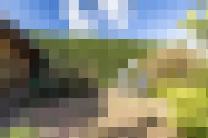 Noorderlaan 5 Hillegom thumbnail 43