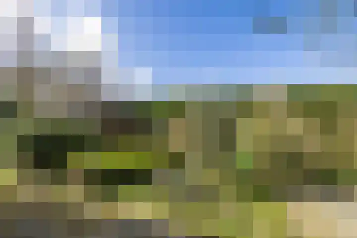 Noorderlaan 5 Hillegom thumbnail 45