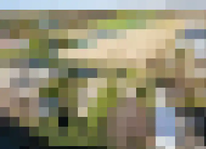 Noorderlaan 5 Hillegom thumbnail 48