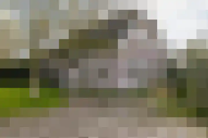 Noorderlaan 5 Hillegom thumbnail 5