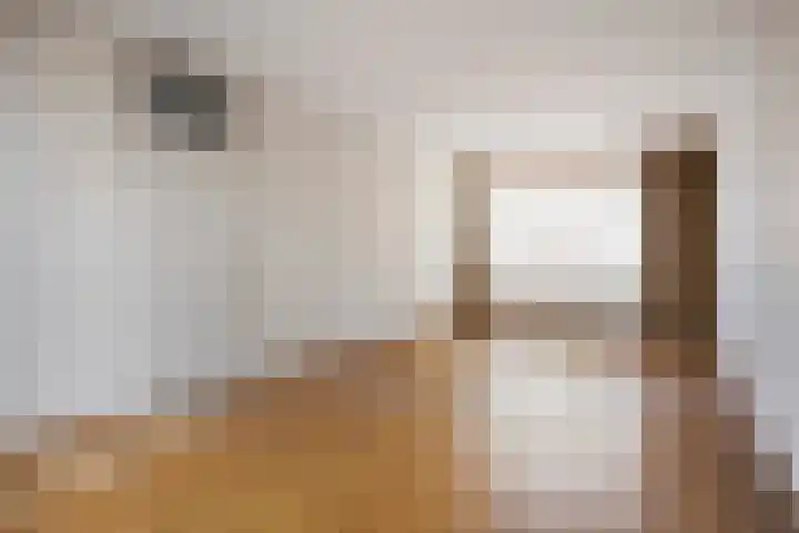 Noorderlaan 95 Dongen thumbnail 11