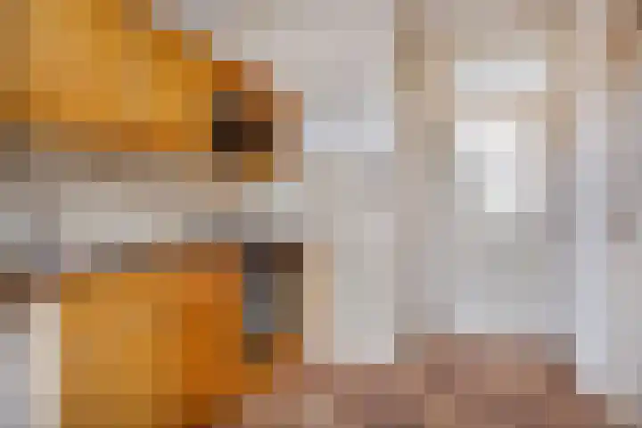 Noorderlaan 95 Dongen thumbnail 13